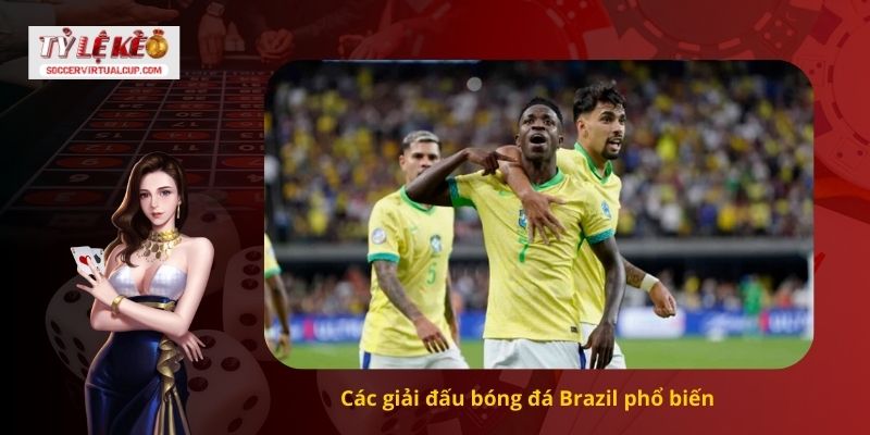 Cách Soi kèo bóng đá Brazil Chính xác tỷ số 1 Các giải đấu bóng đá Brazil phổ biến